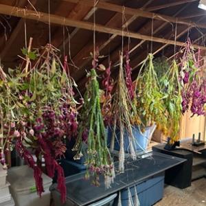 flowers hanging from a roof