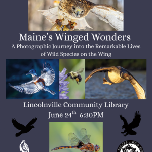 Library Event