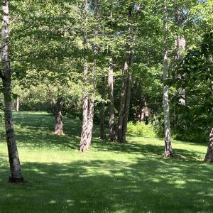 Acres of Walking Paths Overlooking the Ocean