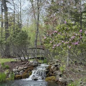 Owners Imagination and Muscle Turn a Neglected Property into a Paradise