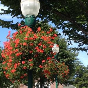 Historic Lamppost Baskets