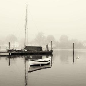 Pea Pod Fog photo