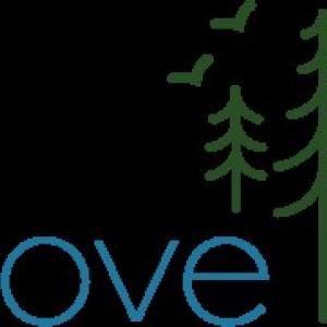 Trove brand image