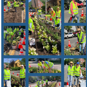 Gals with Trowel Dig in the Dirt to Transform the Traffic Island