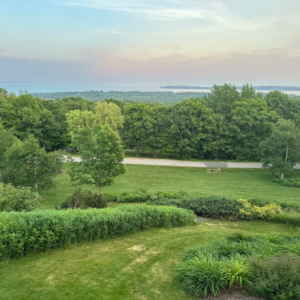 A Rare Vision has Captured the Potential of a Once Neglected Garden