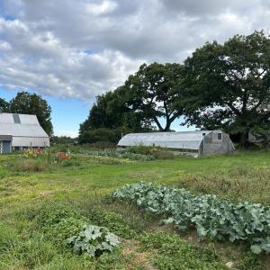 gardens at the farm