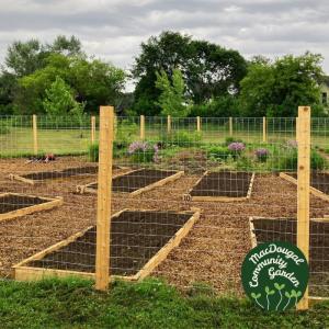 raised beds 
