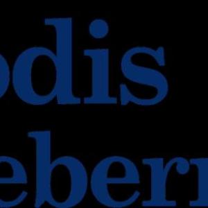 Brodis Blueberries banner
