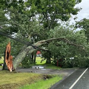 A Belfast tree came down in the road, cutting power. (Photo courtesy Central Maine Power)