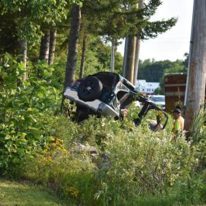 car in the vegetation