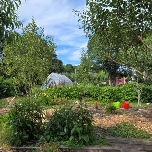 garden with greenhouse in background