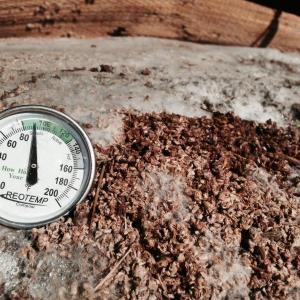 thermometer on rock
