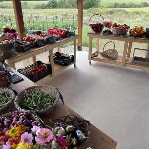 (Photo courtesy Dooryard Farm)