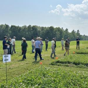 people walk through a field