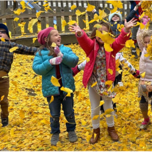 children play in leaves