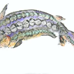 painting of a fish