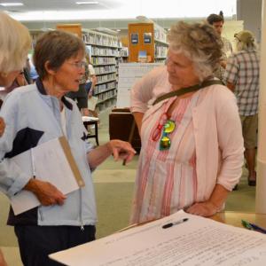 Harbor Park Revitalization and Dam Removal Public Engagement meeting