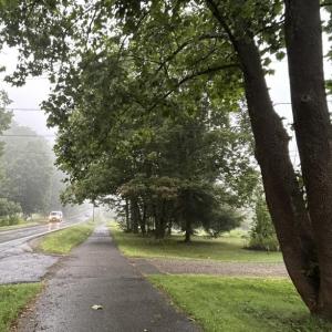 Union Street pathways, Rockport