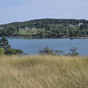 body of water off eastport