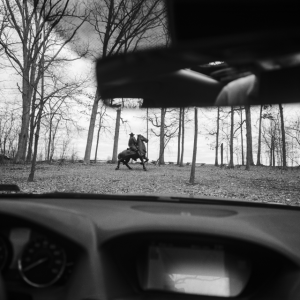 car dashboard and horse in background
