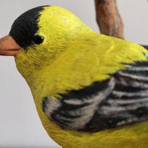 Goldfinch