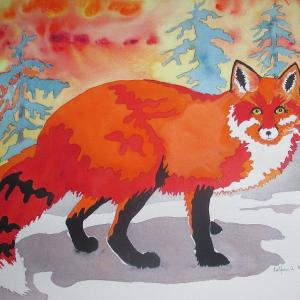 red fox