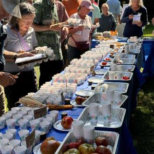 taste-testing table with crowd