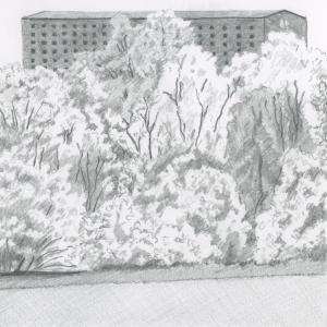 Wild Turkey Distillery, Kentucky. (Drawing by Rick Cronin)