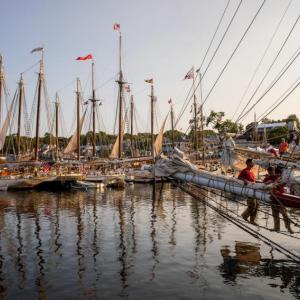 Schooners in harbor