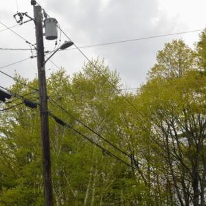 powerlines overhead