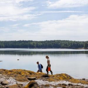 two women walking as they survey for oysters