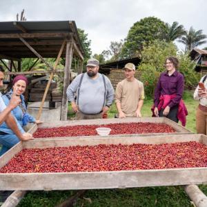tour group looks at cranberries