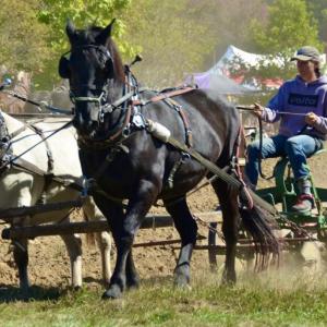 Common Ground Fair, 2025