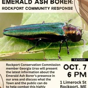 event poster