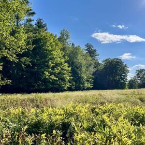 meadow
