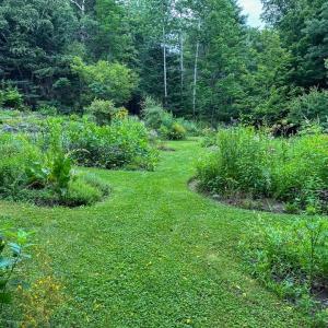 small garden plots among green grass