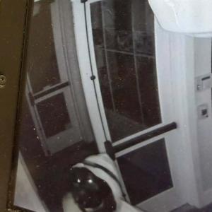 A picture of the suspect used with permission from Islesboro PD.