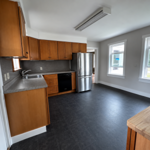 Homestead farmhouse kitchen 