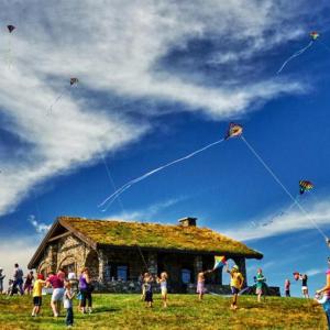 families and kites 