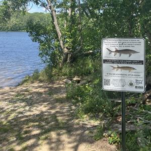 signs at park landing