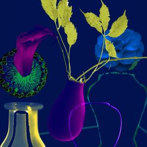 still lifes