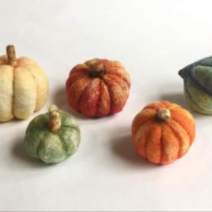 The Needle-Felted Squash & Pumpkins workshop is from 10:00 a.m. to 12:30 p.m. and is for ages 12 and up. 
