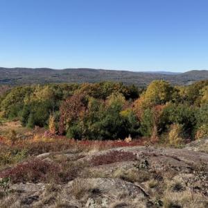 Lincolnville