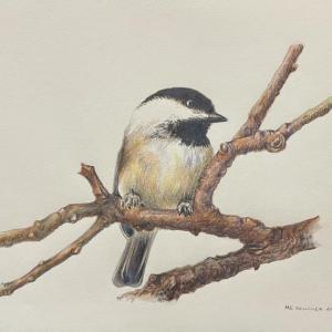 artwork of a bird on a branch