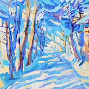 snowy trail through forest