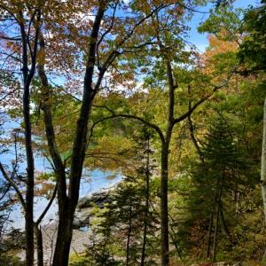 Changing of the seasons (Photo courtesy Carolyn Kanicki)