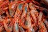 Photo courtesy Port Clyde Fresh Catch