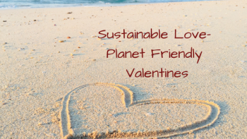 zero waste holidays, sustainable valentines,